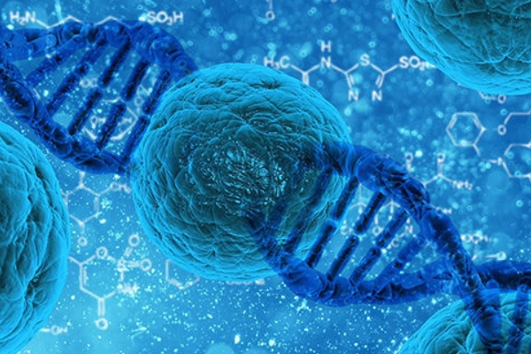 24小时黑客在线好技术