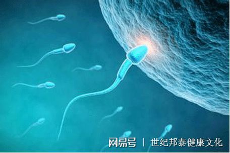 24小时黑客在线接单交易平台