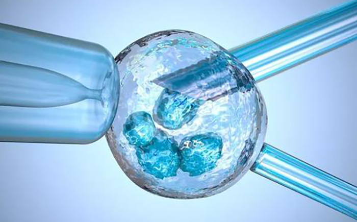 24小时时黑客的qq