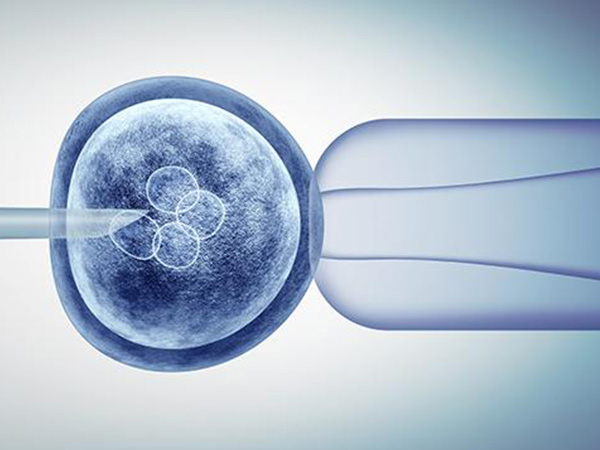 24小时接单的黑客联系方式