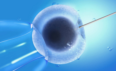 24小时正规黑客