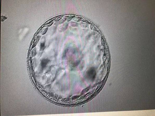 24小时正规黑客