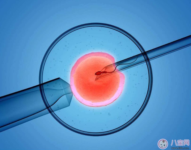 24小时黑客在线接单xs答问