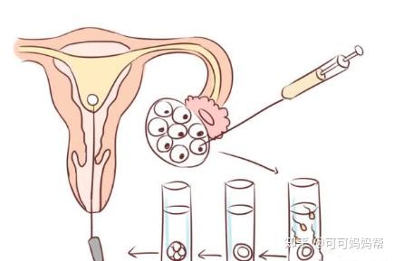 黑客24小时在线接单